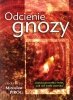 Odcienie gnozy